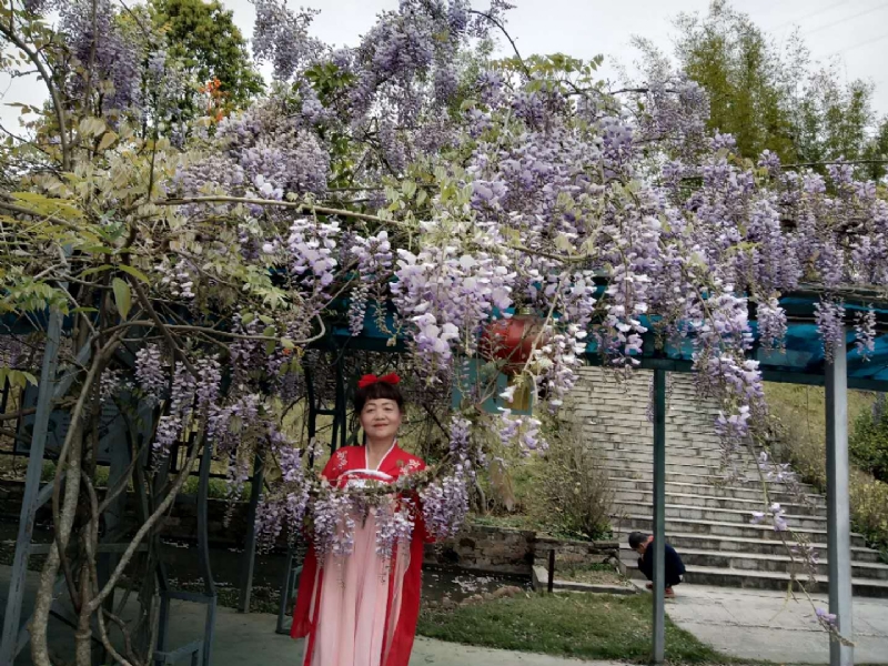 莉莉的第一张照片--寿宁婚介网