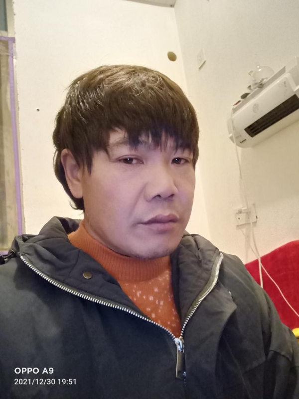 小鸟找窝的第一张照片--寿宁婚介网
