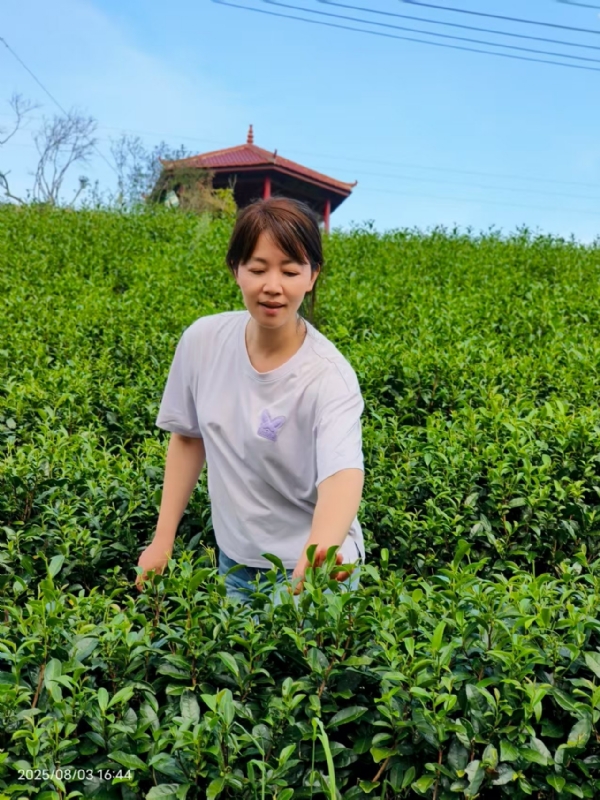 Q绮芳的第一张照片--寿宁婚介网